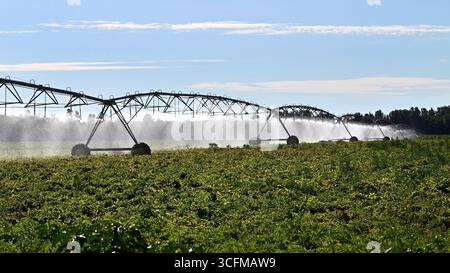 Moderne große Bewässerungsanlage zur Bewässerung landwirtschaftlicher Felder im Sommer im Breitbildformat Stockfoto