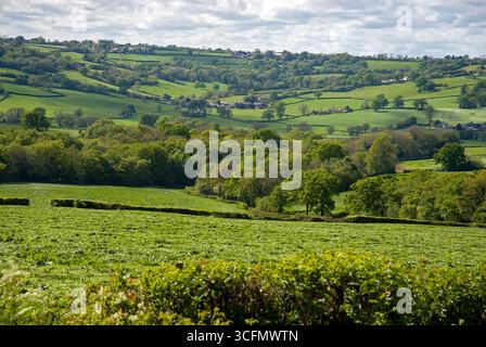 Eine Reise durch England, Frühjahr 2007 Stockfoto