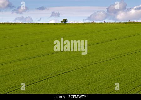 Eine Reise durch England, Frühjahr 2007 Stockfoto
