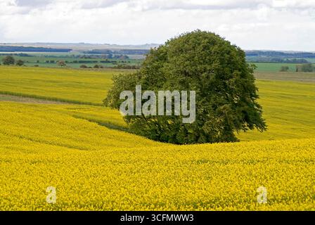 Eine Reise durch England, Frühjahr 2007 Stockfoto