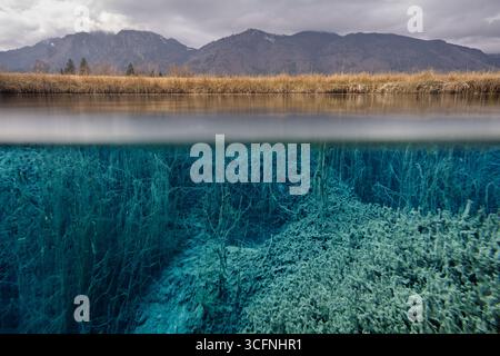 Unterwasser- und Landschaftsblick auf zwei Ebenen im Naturschutzgebiet Murnauer Moos, Bayern, Deutschland Stockfoto