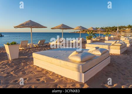 Strandsofas, Liegestühle und Sonnenschirme am Sandstrand neben dem Meerwasser am Morgen im Ferienort Sharm El Sheikh, Ägypten Stockfoto