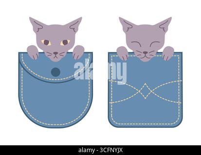 Dünne Katzen, die aus Jeanstaschen schauen. Kätzchen im Taschenformat. Vektorabbildung Stock Vektor