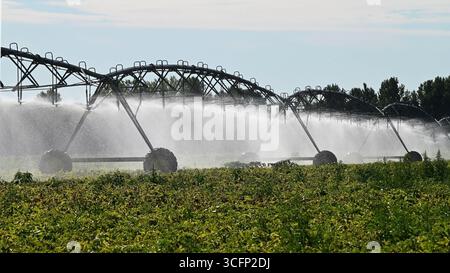Moderne große Bewässerungsanlage zur Bewässerung landwirtschaftlicher Felder im Sommer im Breitbildformat Stockfoto