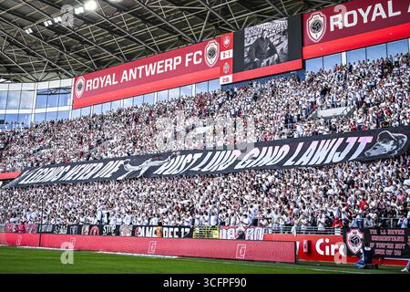 Antwerpen, Belgien. August 2025. Die Fans Antwerpens wurden während eines Fußballspiels zwischen Royal Antwerp FC und KV Mechelen am Sonntag, den 24. August 2025, in Antwerpen, am 5. Tag der ersten Liga der Jupiler Pro League 2025-2026 in der belgischen Meisterschaft gezeigt. BELGA FOTO TOM GOYVAERTS Credit: Belga Nachrichtenagentur/Alamy Live News Stockfoto