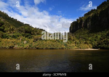 Der Pororari River Track befindet sich an der Westküste der Südinsel Neuseelands Stockfoto