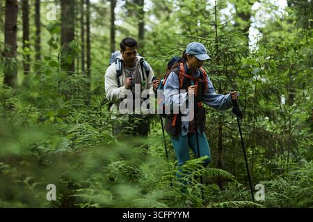 Junger Erwachsener kaukasischer Mann und junge Erwachsene kaukasische Frau wandern durch dichten Wald mit Rucksäcken und Trekkingstöcken und navigieren gemeinsam durch üppige grüne Vegetation und Bäume Stockfoto
