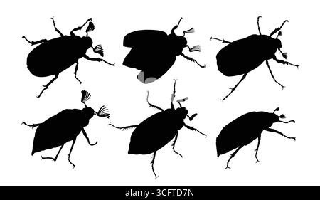 Eine Reihe von Silhouetten von Viehkäfern. Stock Vektor