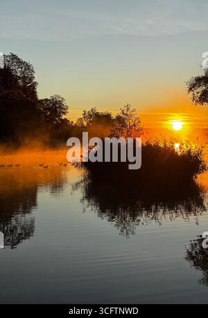 Malerischer Sonnenaufgang über einem ruhigen See mit Nebel, Silhouettenbäumen und Enten, die im goldenen Licht schwimmen. Stockfoto