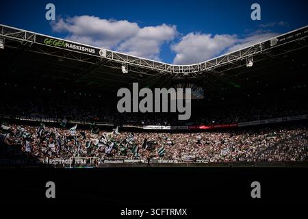 MÖNCHENGLADBACH, DEUTSCHLAND - 24. AUGUST 2025: - Das Fußballspiel der Bundesliga Borussia Mönchengladbach gegen den Hamburger SV im Borussia Park. Stockfoto