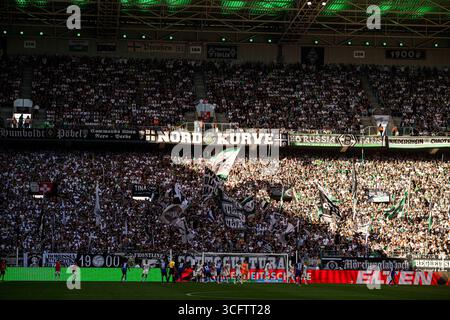 MÖNCHENGLADBACH, DEUTSCHLAND - 24. AUGUST 2025: - Das Fußballspiel der Bundesliga Borussia Mönchengladbach gegen den Hamburger SV im Borussia Park. Stockfoto