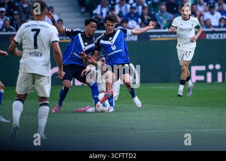 MÖNCHENGLADBACH, DEUTSCHLAND - 24. AUGUST 2025: - Das Fußballspiel der Bundesliga Borussia Mönchengladbach gegen den Hamburger SV im Borussia Park. Stockfoto