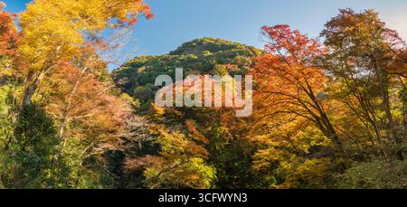 Osaka Japan, Minoh Falls in der Herbstsaison Stockfoto