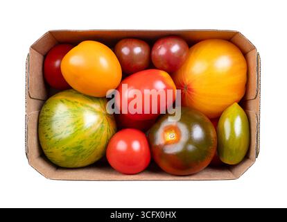 Frische und reife Tomaten verschiedener Sorten, Farben und Größen in einem Papppunnet. Sorten der Pflanze Solanum lycopersicum. Stockfoto