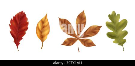 Detailgetreue, realistische Herbstblätter mit natürlichen Adern und Texturen für saisonale Designs. Rotes, oranges und grünes Laub mit sichtbaren botanischen Stämmen für Naturdarstellungen oder Herbstdekorationen. Stock Vektor