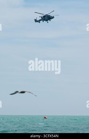 Die Royal Navy, AgustaWestland AW159 Wildcat Hubschrauber. Stockfoto