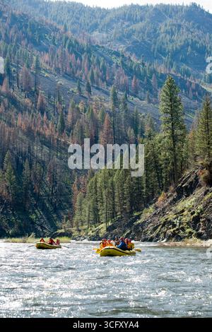 Middle Fork des Salmon River-Rafting, ID Stockfoto