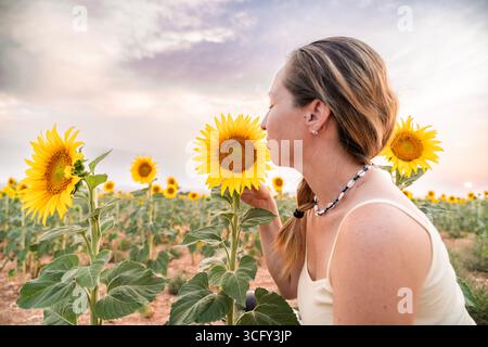 Eine junge Frau riecht eine Sonnenblume in einem Sonnenblumenfeld bei Sonnenuntergang Stockfoto