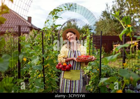 Porträt eines jungen Landwirts, der reifes Gemüse aus Hochbeeten unter dem Bogen pflückt. Frau, die Tomaten hält, Gurkenernte. Herbstliches Erntegut. Stockfoto