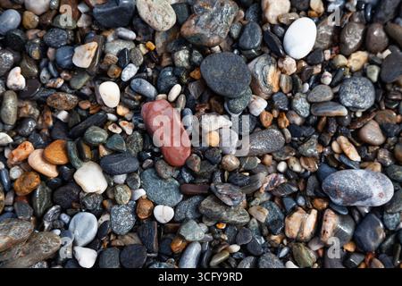 Hintergrund von Meeressteinen. Steine in verschiedenen Formen, Größen und Farben an der Küste, Nahaufnahme. Stockfoto