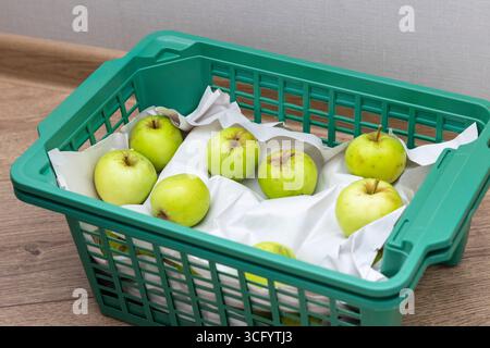 Gerade geerntete Äpfel im Plastikregal Stockfoto
