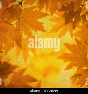 Herbstlaub über Vintage-Hintergrund. Perfekte Grunge-Herbst-Textur. Stockfoto
