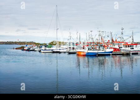 Farbenfrohe Fischerboote liegen in einem ruhigen Hafen an, die sich auf ruhigem Wasser unter einem bewölkten Himmel spiegeln und die maritime Ruhe und lebendige Farben zeigen Stockfoto
