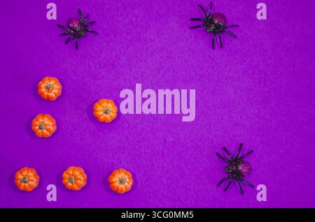 Halloween Kürbisse und Spinnen Dekoration auf lila Hintergrund Stockfoto