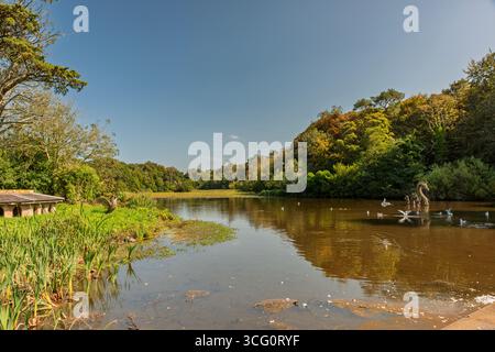 Willow Loch Ness Monster von David Powell im Culzean Country Park Stockfoto