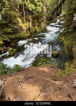 Der McKenzie River in Oregon an einem Sommertag. Stockfoto