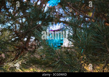 Weihnachtsbaumschmuck blaue Schneeflocken aus Folie auf einer Fichte draußen. Alte Schneeflocken Stockfoto