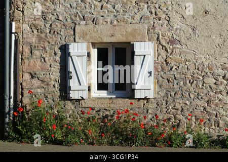 Mohn blüht auf einem Natursteinhaus, Frankreich, Bretagne, Erquy Stockfoto