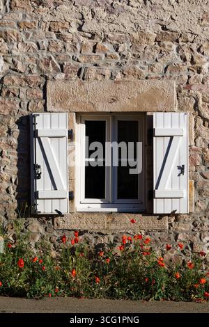 Eine Frau mit offenen Fensterläden und Mohn blüht auf einem Natursteinhaus, Frankreich, Bretagne, Erquy Stockfoto