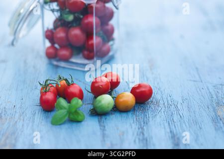 Kirschtomaten in einem Glas mit Basilikumblättern. Konservierung von Lebensmitteln im Herbst oder Winter. Hausgemachte Zubereitungen. Stockfoto