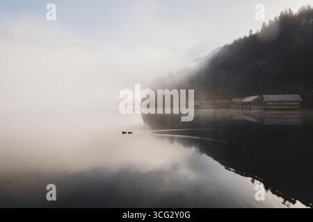 Mystische Morgenstimmung an den Ufern des Altausseer sieht einen Herbstmorgen im steirischen Salzkammergut am 10.11.2020. // mystische Morgenstimmung am Ufer des Altaussees an einem Herbstmorgen im steirischen Salzkammergut am 10. November 2020. - 20201110 PD11908 Credit: APA-PictureDesk/Alamy Live News Stockfoto
