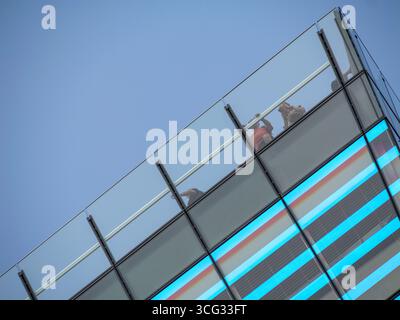 London, Großbritannien – Besucher genießen die Aussicht von der Dachterrasse aus The Garden at 120, das sich in Fen Court, 120 Fenchurch Street, in der City of London befindet Stockfoto