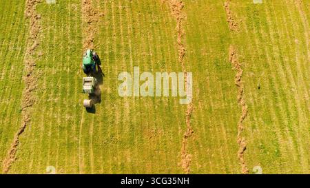 Aus der Vogelperspektive eines Traktors, der auf einem sonnigen Sommerfeld Heu zu Rundballen sammelt. Landwirtschaftliche Arbeiten während der Heuerzeugung Stockfoto