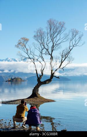 Touristen fotografieren den berühmten Wanaka Tree, eine einzelne Weide am Ufer des Lake Wanaka, Otago, Neuseeland Stockfoto
