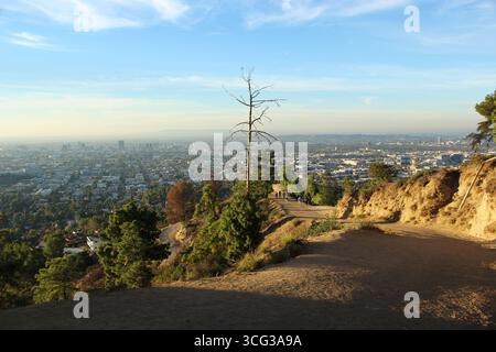 Blick auf die riesige Stadt Los Angeles vom Griffith parc Stockfoto