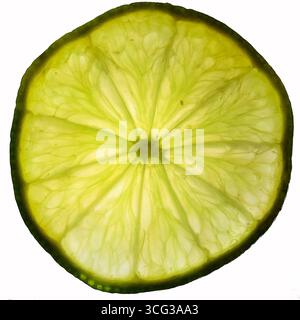 Scheibe einer Kalk, isoliert auf weißem Hintergrund Stockfoto