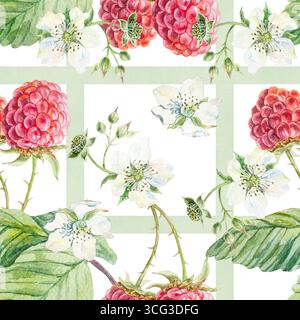 Nahtloses Himbeermuster. Reife rote Beeren, grüne Blätter und weiße Blüten auf pastellfarbenen Streifen Hintergrund. Handgezeichnete Aquarellillustration isoliert Stockfoto