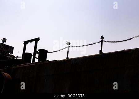 This image features the silhouette of a ship’s deck with two birds perched on a chain rail against a clear sky, highlighting maritime and nature theme. Stockfoto