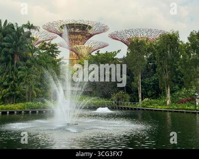 Eine ruhige Szene mit einem Springbrunnen im Vordergrund mit Wasserdüsen vor den berühmten Supertrees at Gardens by the Bay in Singapur. Der Stift Stockfoto
