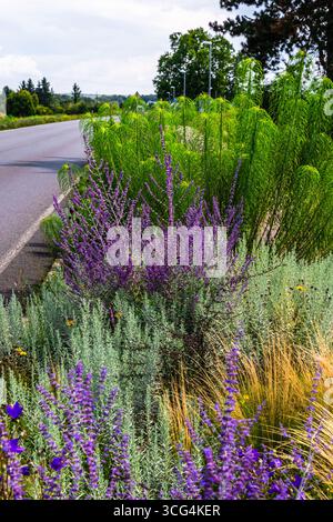 Wunderschön bepflanzte Blumenbeete am Straßenrand, vertikal Stockfoto