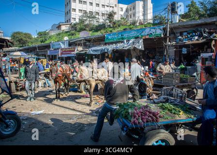 Die Gemüsemärkte in Gaza-Stadt, Gazastreifen, besetzten palästinensisches Gebiet. Stockfoto