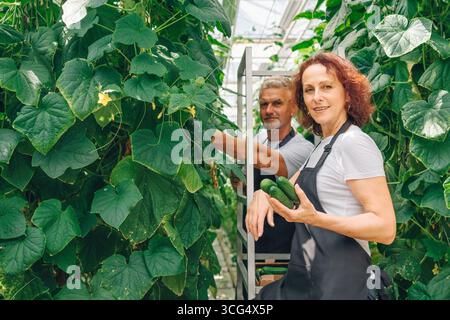 Gärtnerin mit frischen Gurken, die selbstbewusst im Gewächshaus stehen, umgeben von üppig grünen Pflanzen, während männliche Kollegen eher Pflanzen anbauen Stockfoto