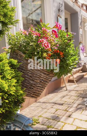 Ein reich gefüllter Korb mit Blumen an einem Fahrradlenker in der Sonne, kleine Stadt Perle Calw, Bezirk Calw, Deutschland Stockfoto
