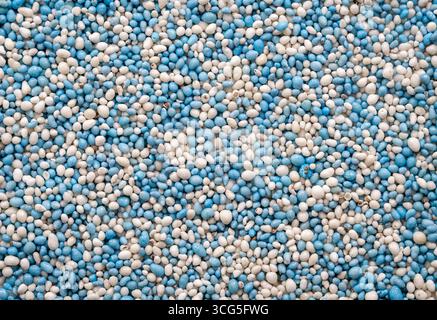 Blau-weiß gezuckerte Anissamen, traditionelles holländisches Topping für die Geburt von Babys, genannt Beschuit Met Muisjes Stockfoto