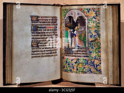 Das Buch der Stunden war der Gebrauch des Paris Atelier Meister Francois France 1470 David im Gebet, in dem er die sieben Bußschammen Lille Museum France einführte. Stockfoto