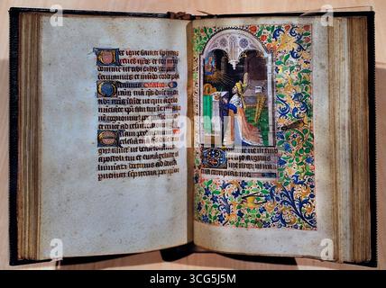 Das Buch der Stunden war der Gebrauch des Paris Atelier Meister Francois France 1470 David im Gebet, in dem er die sieben Bußschammen Lille Museum France einführte. Stockfoto